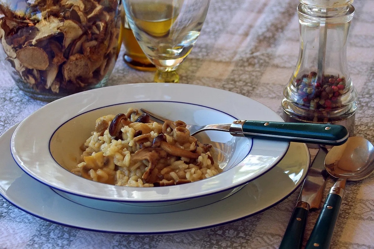 Risotto de setas cremoso servido en un plato hondo