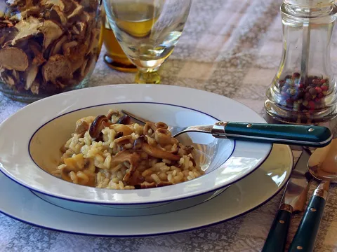 Risotto de setas cremoso servido en un plato hondo